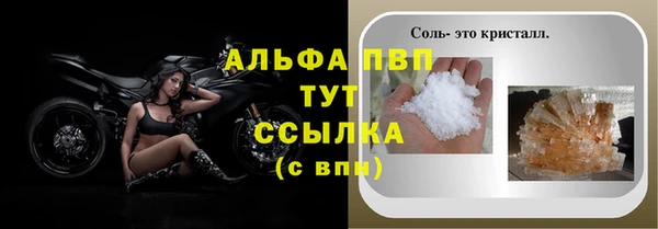 стаф Сатка