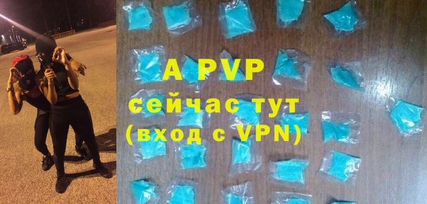стаф Сатка