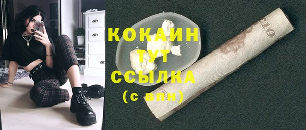 стаф Сатка