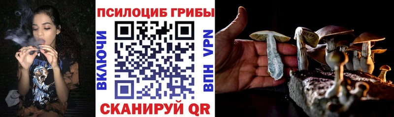 Купить закладки  Харовск  Псилоцибиновые грибы MAGIC MUSHROOMS 